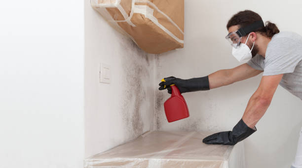 Professional Commercial Mold Remediation technician working in Triangle, VA