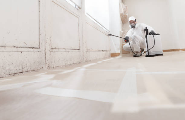 24/7 Emergency Commercial Mold Remediation experts in Triangle, VA