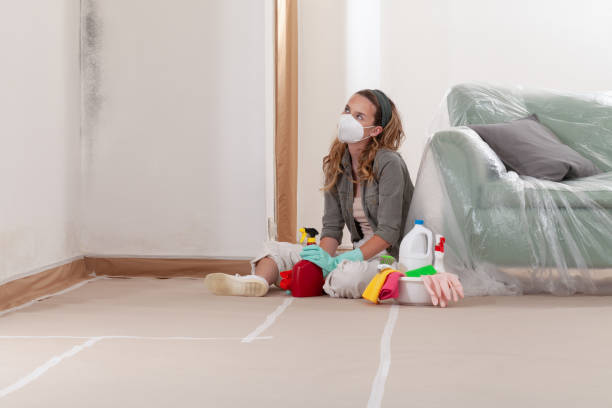 Reliable Commercial Mold Remediation contractor in Triangle, VA by Mold Remediation HQ