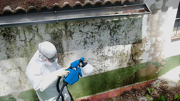 Top rated local Commercial Mold Remediation specialists in Triangle, VA